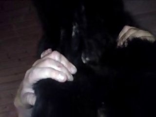 Video De Porno Com Animal
