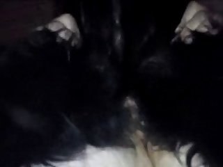 Video De Porno Com Animal