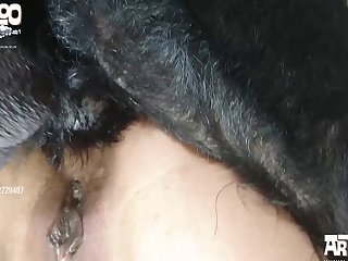 Xxx Anal Forced Porn