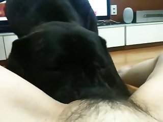 Gay Sex Toys Porn Videos Best Xxx Tube