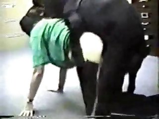 Jovencita Porn Xxx