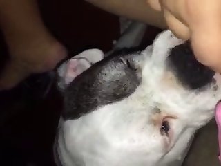 Boy Porn Xxx Video