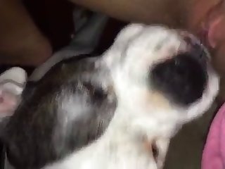 Boy Porn Xxx Video