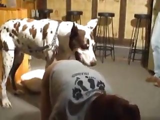 Asian Porn Xxx Videos