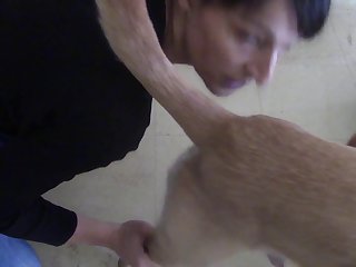 Tiktok Zoo Porn