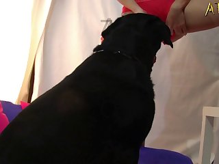 Gay Zoo Porn Dog