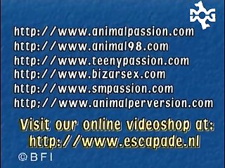 Steven Daigle Gay Star Porn Xxx