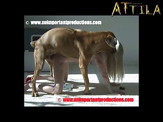 Busty Anal Toy Porn Xxx