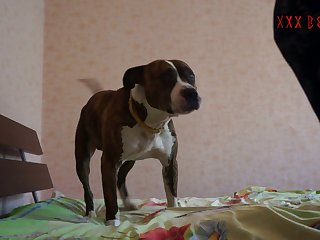 School Xxx Videos Xnxx