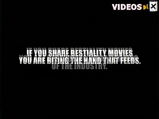 Cuckold Masters Dog Porn