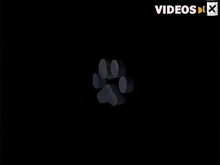 Dog Porn Slave