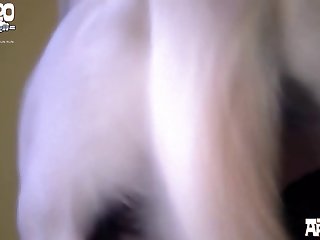 Animal Sex Acts