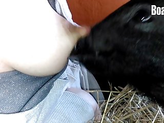 Alexis Nova Dog Porn