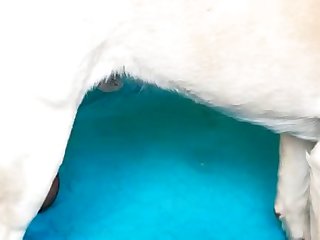 Zoo Amat New 20 Excell Blowjob compilation