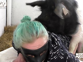 Devotehuendin Mr. Pig Stufft 1 xxx bo strange