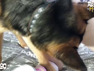 Tiny I Want Candy Artofzoo 1080p  full