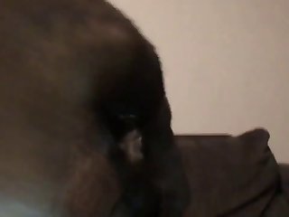 Omegle Hotv zoo