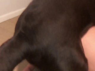 Omegle Hotv zoo