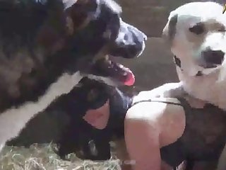 Animal Sex Teen Porn