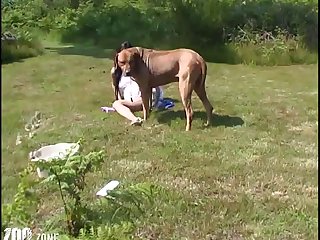 Animal Sex Dog Cum