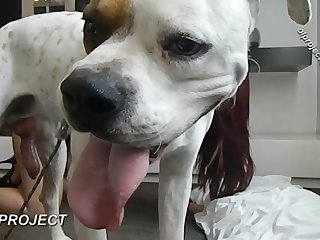 Animal Sex Girl Anal