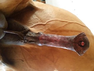 Under Horse Beastforum Geles Masturbation