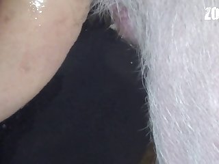 I Felt One Thing Rigid And Fleshy Prod Insistently At The Cotton Crotch Of My Panties Because The Giant My Sexy Boar