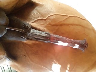 Under Horse Beastforum Geles Masturbation