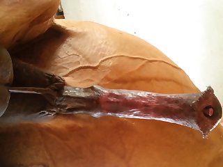 Under Horse Beastforum Geles Masturbation