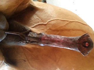 Under Horse Beastforum Geles Masturbation