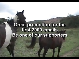 The Best Of Stallion Hot