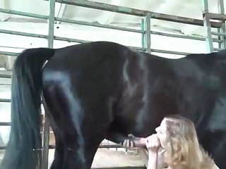 Nadya And Katya Have Active Sex With Stallion 2