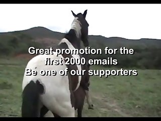 The Best Of Stallion Hot