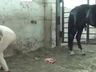 Nadya And Katya Have Active Sex With Stallion 2