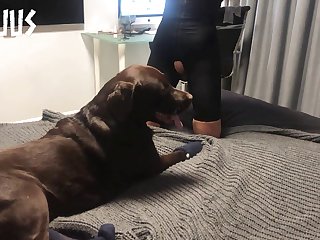 Woman Dog Porn Gif
