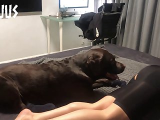 Art Of Zoo Dog Fuck