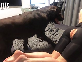 Art Of Zoo Dog Fuck