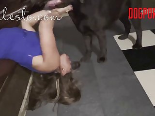 Hentai Zoo Tube
