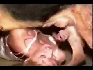Video De Sexo As Coroas