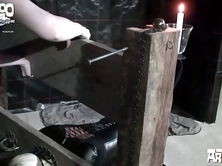 Porn Toro