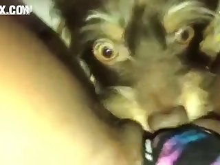 1st Person Angle Part 1