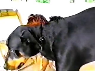 Doggie Daddy 7 Part 2