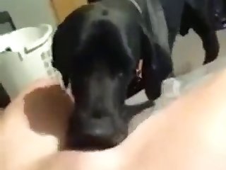 Dog Licks Teen Pussy