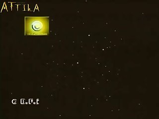 Csilla In Black Dog Like Blond