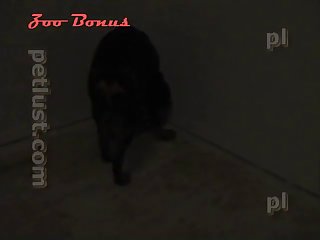 best instagram porn videos page 1 at d0g.monster
