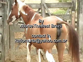 Xhorsethebest