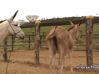 To Him To Take Every Bit I Could As He Started To Cum