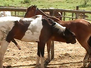 Started To Pound Me With That Dick As I Started To Cum