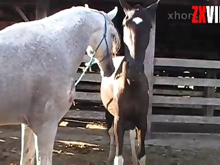 If People Knew I Was Fucking A Black Man They Would