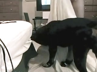 The Two She Had Cum Dozens Of Times